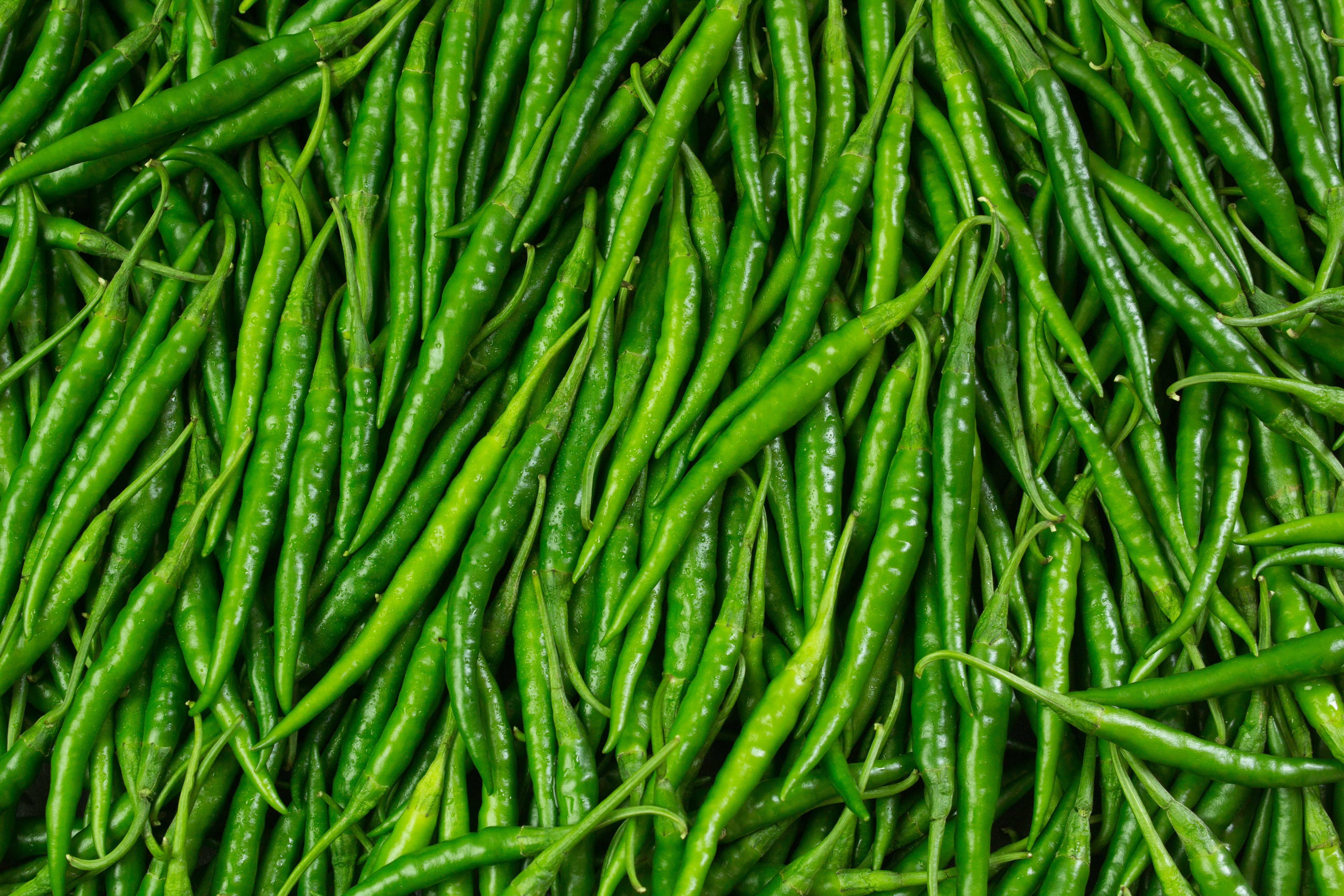G4 Green Chilli